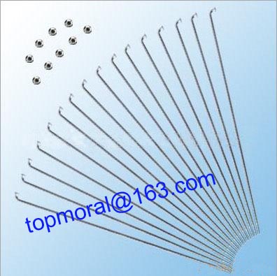 Adults bicycle spokes and nipples