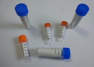 Wholesale Purified Anti-Benzoylecgonine Mouse Mono Clonal Antibody Liquid from china suppliers