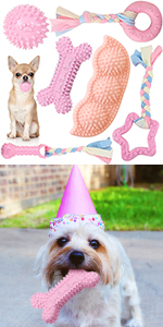 dog toys