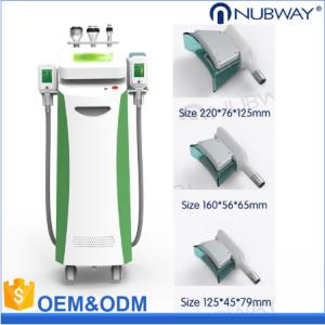 Wholesale Low price 10.4 inch touch color screen cryotherapy cryolipolysis fat freezing machine from china suppliers