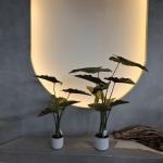 Lifelike Green Plastic Artificial Plants 70-120cm For Indoor / Outdoor Decor