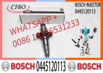High Quality Diesel Fuel Injector 0445120255, 044512010, 0445120113