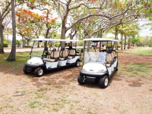 Wholesale Environmental Park 8 Person Golf Cart Sightseeing Bus With Led Front Lights from china suppliers