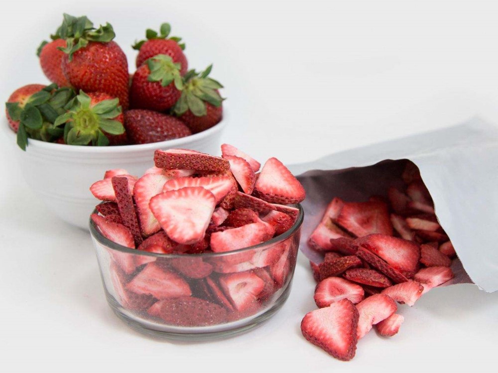 1000kg Freeze Drying Machine