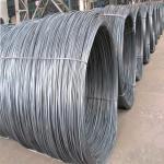 Ss430 Stainless Steel Wire Rope Disc Circle Ss 316 Wire Rope