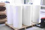 Gravure Printing Blank Sticker Roll