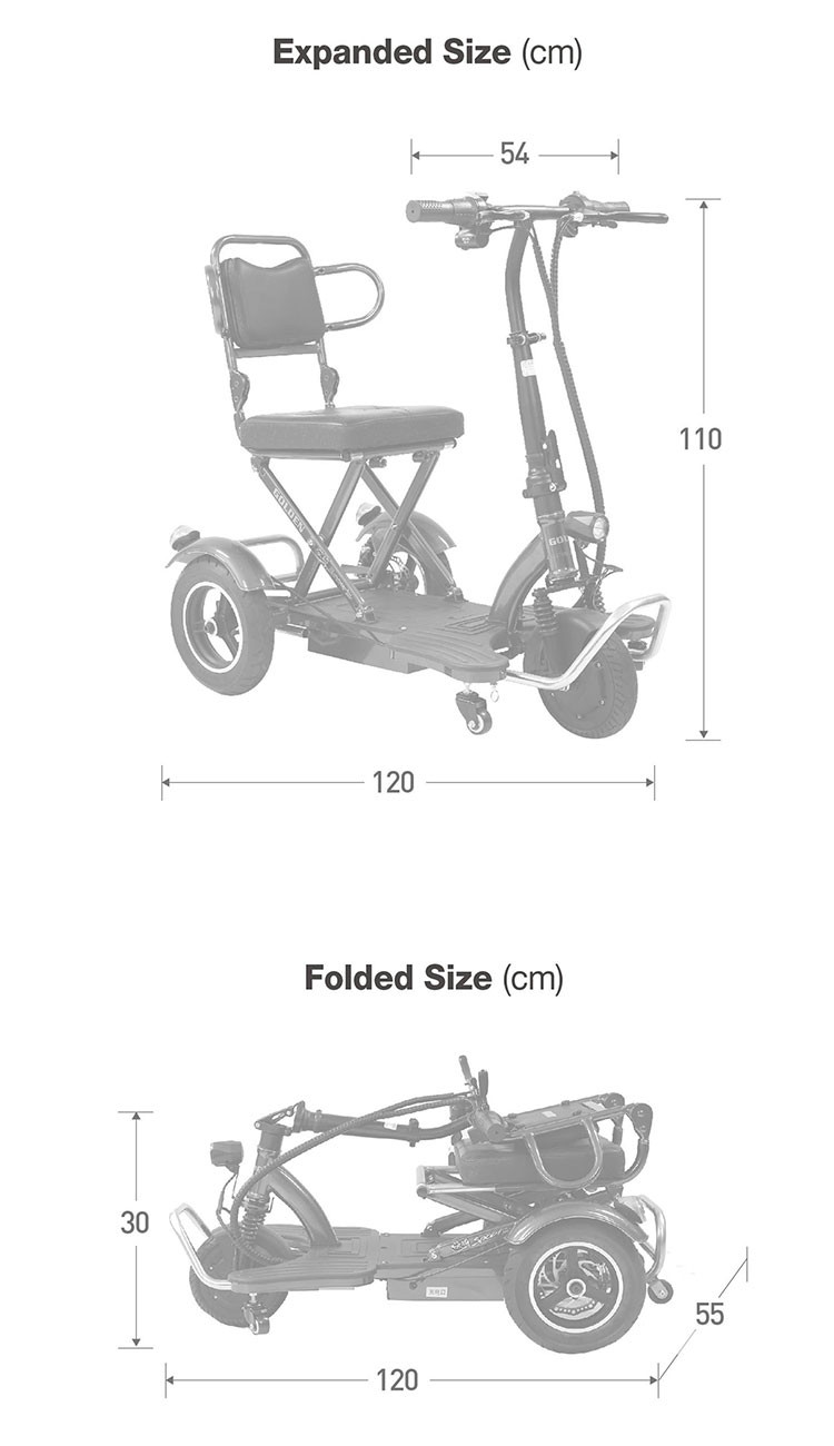 3 Wheels Aluminum Electric Tricycle Cargo Bike 48v 500w 24Inch 20Inch Fat Tire