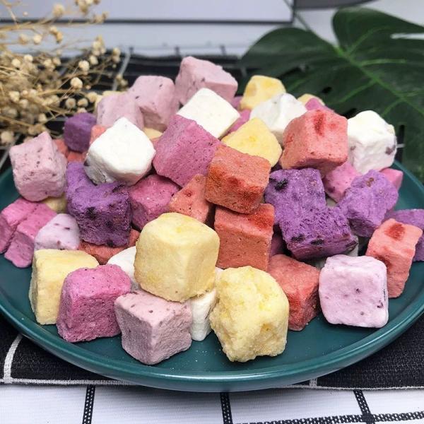 Flavorful Freeze-Dried Yogurt Snacks High In Protein Dragon Fruit Flavor 25g For