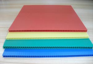 Wholesale Degradable Hollow SGS Twin Wall Polypropylene Sheet 250g/Sqm from china suppliers