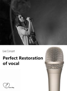 Wholesale Party 65dB SNR wired Condenser Microphone With Sound Card CE ROHS from china suppliers