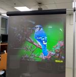 High Contrast Natural Black Self-Adhesive Rear Projection Film for shop window