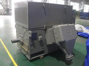 Wholesale 3KV 6KV 6.6KV 10KV Three Phase Asynchronous Motor 1485RPM from china suppliers