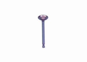 Wholesale Golf Cart Carryall Intake Valve G1017444 Fits For Club Car Gas 1996-Up DS Cars, FE350 from china suppliers