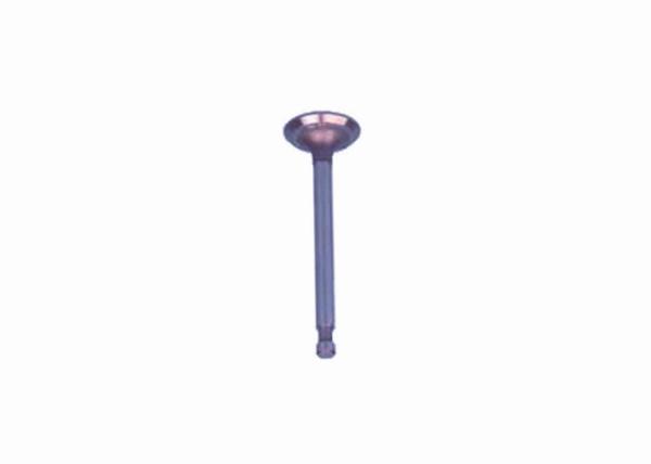 Golf Cart Carryall Intake Valve G1017444 Fits For Club Car Gas 1996-Up DS Cars,