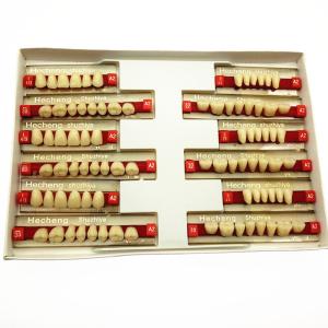 Wholesale Dental Materials Multi Layer Synthetic Dental Resin Dentures Teeth FDA from china suppliers