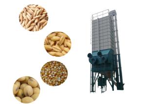 Wholesale Low Speed Auger Type Rice Drying Equipment 22 Ton With Low Broken Rate / Low Crack Rate from china suppliers