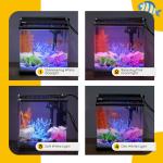 4 Gallon Turtle Fish Tank