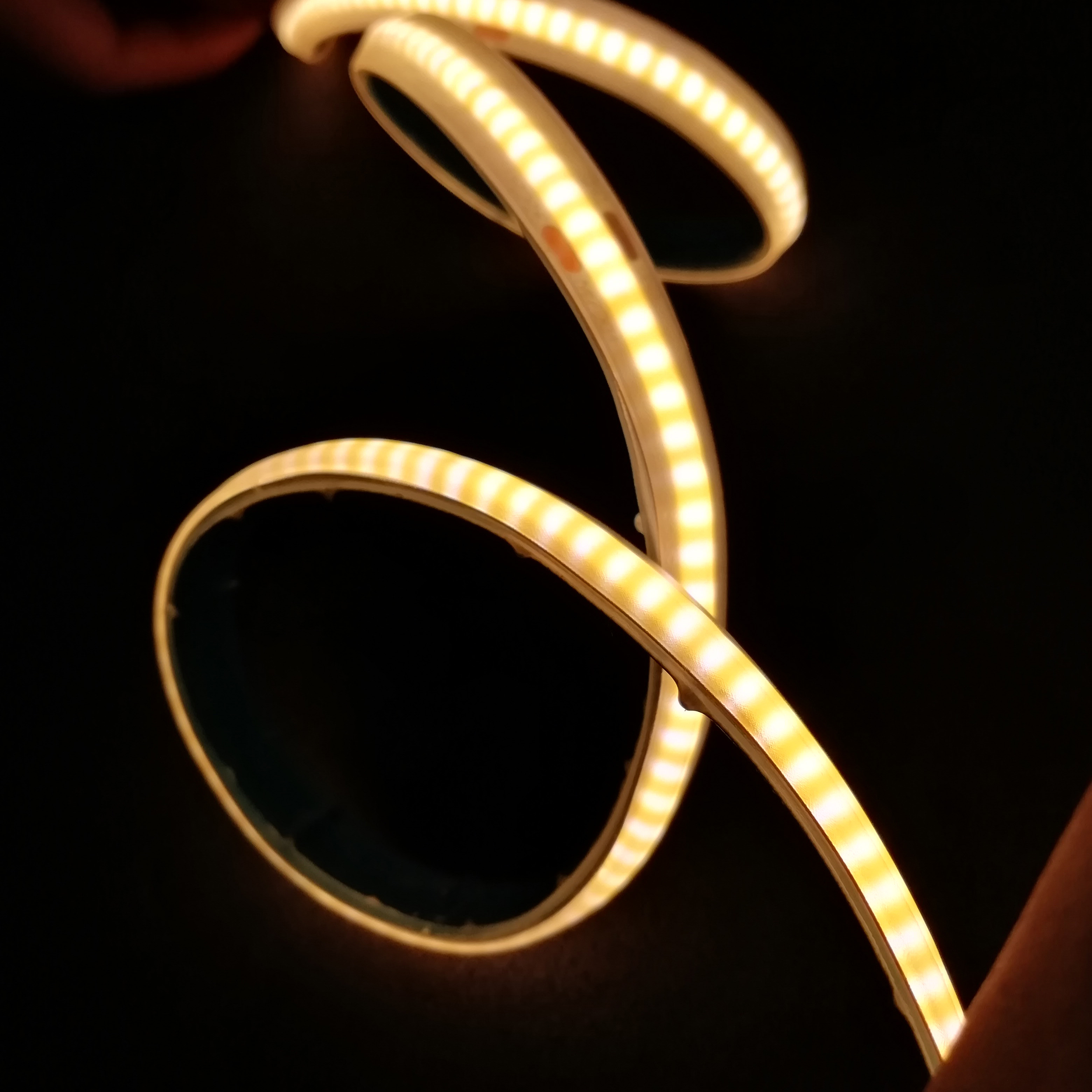 FOB COB Outdoor Waterproof LED Strip Light 5M / Roll High Voltage No LED Dot
