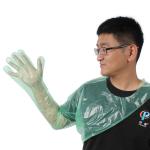 Veterinary Using Green PE Disposable Long Arm Gloves For Wearing Around Neck