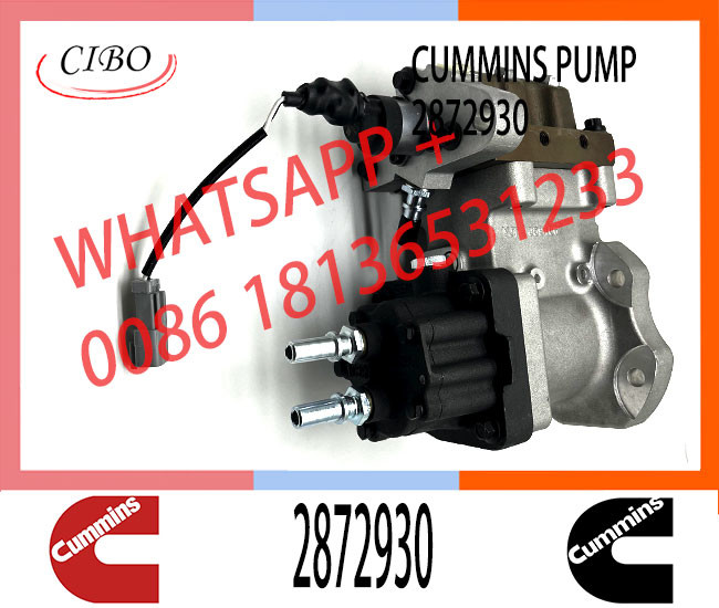 DCEC Cummins ISZ13 QSZ13 Engine Fuel Injection Pump 4384497 2872930