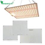 LED Indoor Grow Lights 650W 5000K Energy Saving For Plants Flowers