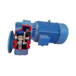 FAF Series Hollow Shaft Flange Mounted Parallel Shaft Helical Geared Motor