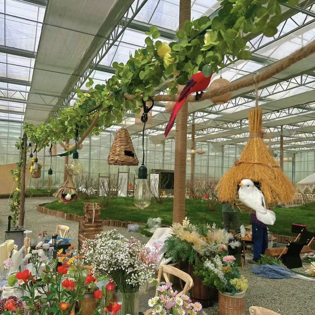 Ju Xiang Glass Greenhouse for Cultivating Vegetables