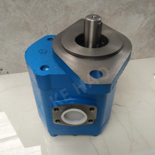 CBGJ Single Pump Rhomb cover Flat key Blue Compact Original Gear Pump For