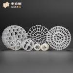 Active Mould MBBR Biomass Filter 25*10mm 38 Rooms Aquatic Salmon Land Based