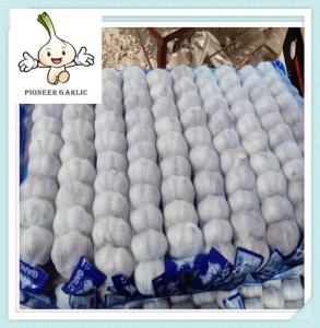 Wholesale 5.0CM 200G*50 In 10Kg Carton Super White Garlic Garlic Factory Jining from china suppliers