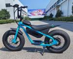 Off-road Electric Kids Bike Suspension Fork 13AH Battery Machinery/Hydraulic