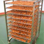 Stainless Steel 304 Meat Smoking Oven 30kg Batch Bacon Dried Sausage Smoke House