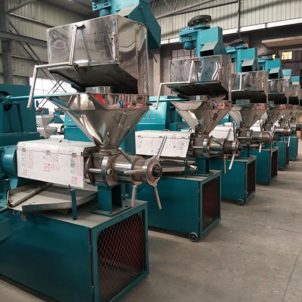 Small Investment Pressing Oil Cold Extractor Oil Small Presser Coconut Oil Press
