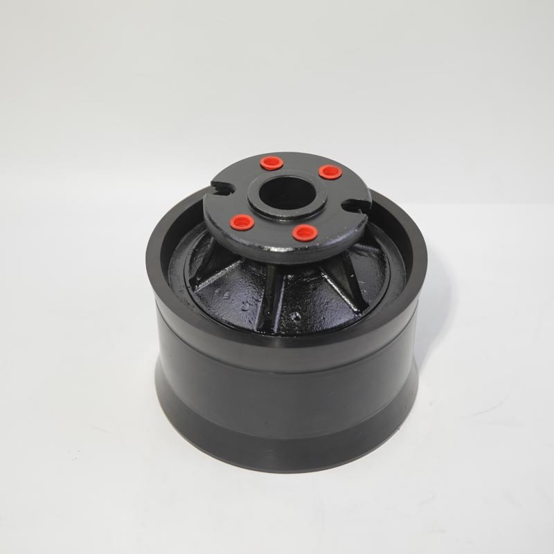 Putz Concrete Pump Parts Piston Ram Dn230 G