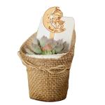 Succulent Tags Watch Me Grow Wooden Plant Label Garden Marker Plant Sign