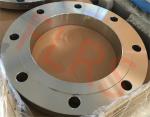A182 F53 / UNS S32750 Welding Neck Raised Face Pipe Flange Super Duplex