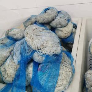 Wholesale Premium Breathable Goat Casings Uniform Thickness Good Firmness from china suppliers