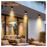 Outdoor Wall Mounted Cylinder Lamp Black LED Downward Column Outdoor Garden Lamp