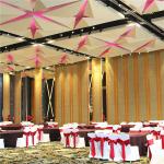 Aluminium Sound Barrier Walls Wedding Halls Partition Wall Sliding Folding Doors