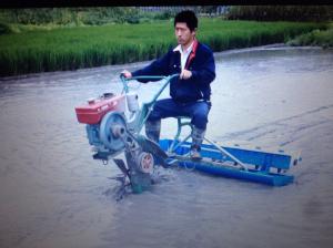 Wholesale Rice seed planter from china suppliers