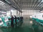 Multi Purpose Agricultural Grain Color Sorter Guarantee 99.999% Accuracy