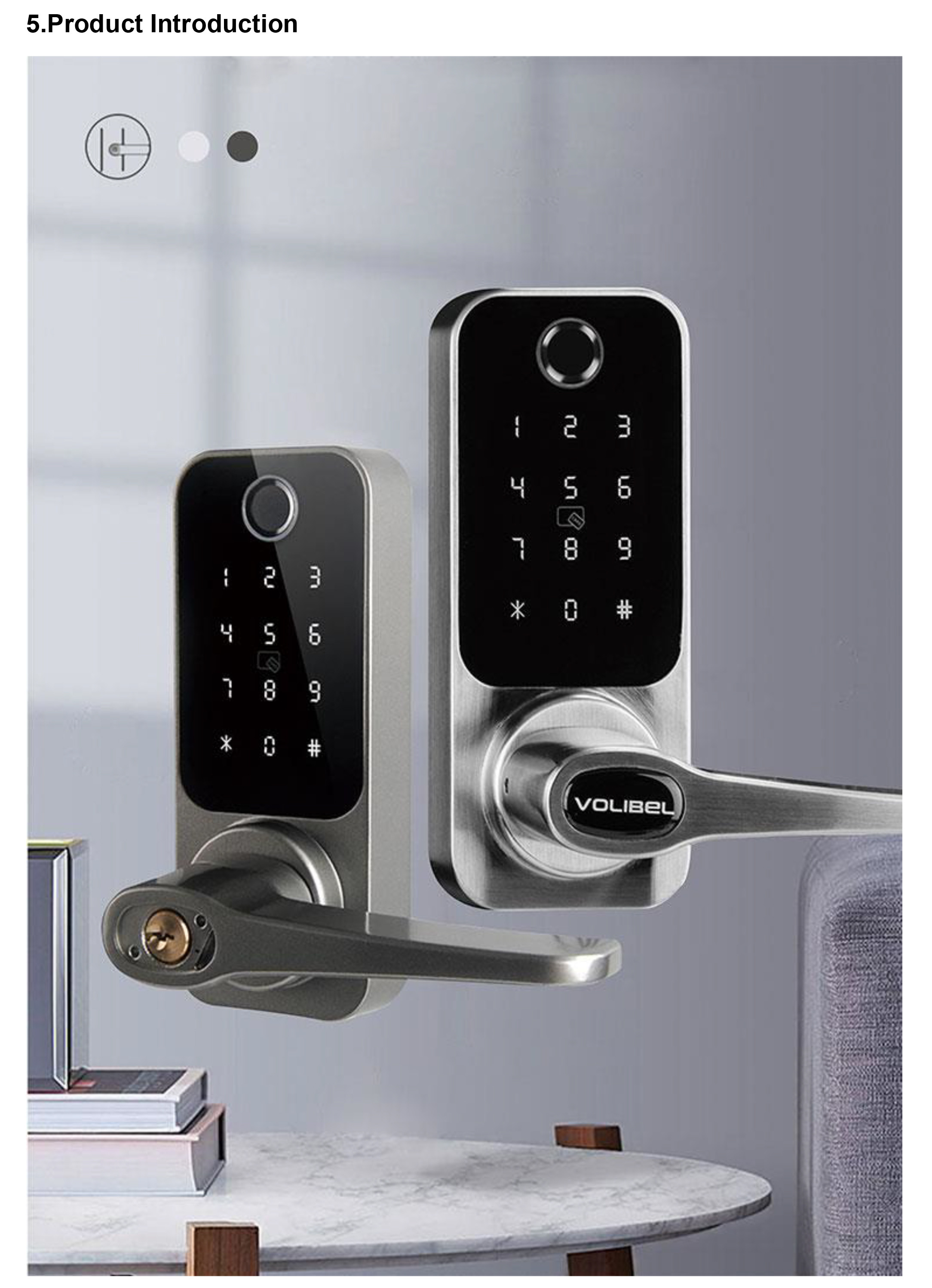 Tuya APP Password RFID Card Wifi Fingerprint Office Biometric Locks