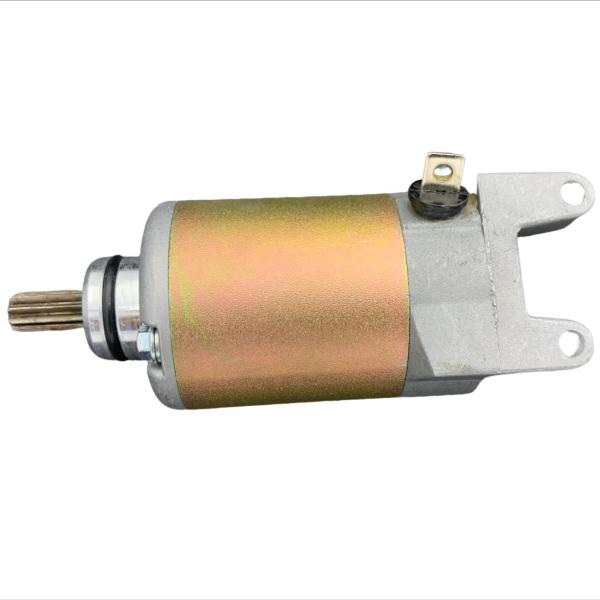 E43502705 Tricycle Starter Motor Assembly Moto TAXI TUKTUK Accessories For