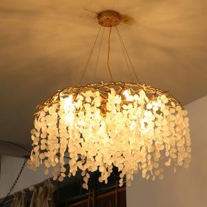Wholesale Elegant Modern High CRI Luxury Ceiling Lights Fixtures For Living Room Decoration from china suppliers
