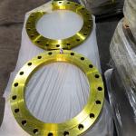 Pipe Line Steel Forged Flange DIN2576 DIN2502 PN10 PN16