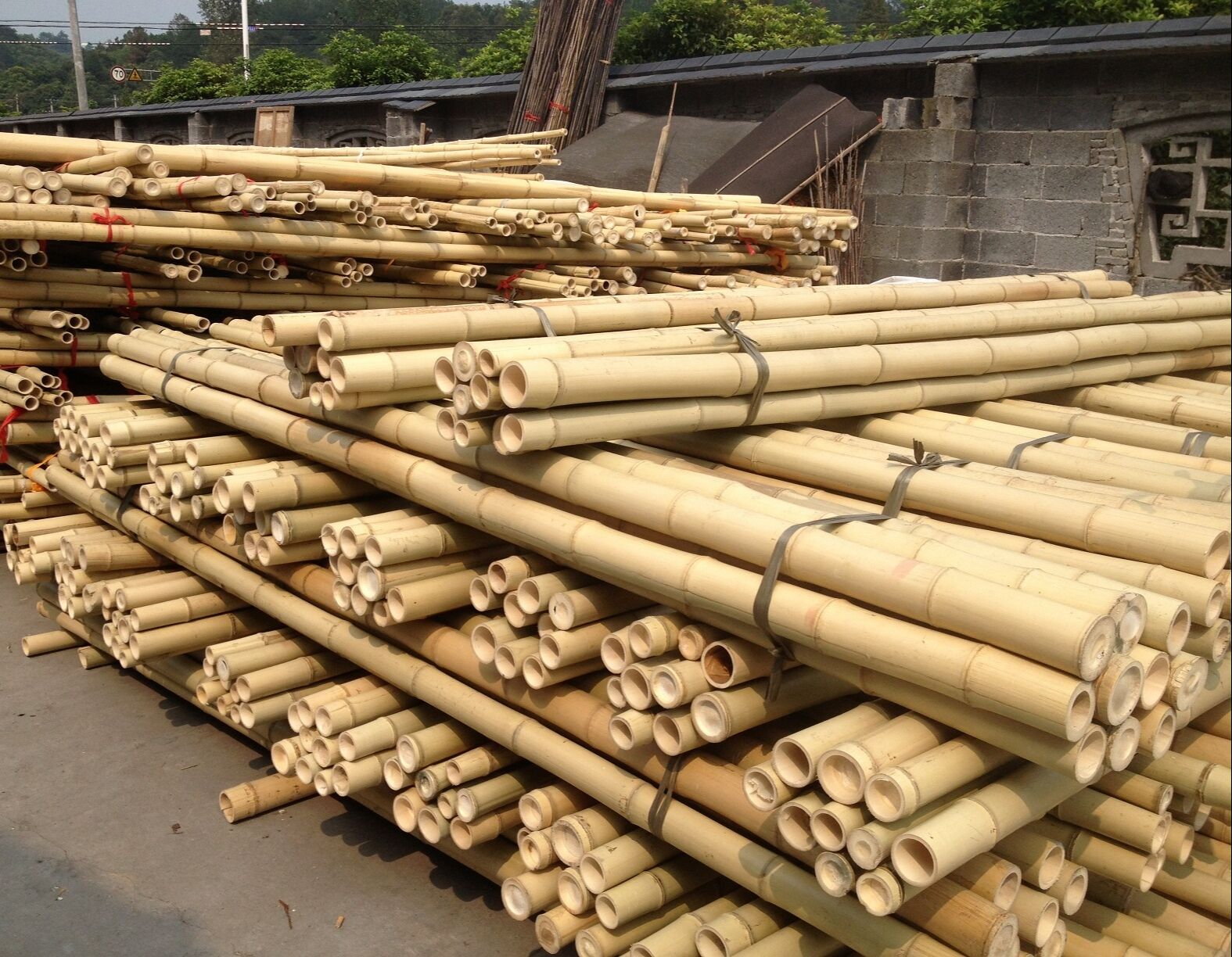 Wholesale Price Natural Moss Plant Pole Moss Stick For Climbing Plants Moss Poles Support