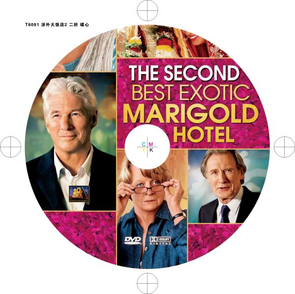 Hot sale dvd movie The Second Best Exotic Marigold Hotel(2015)new Video Region