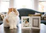 Dog / Cat Pet Memorial Picture Frame , Clay Paw Print Memorial Picture Frame