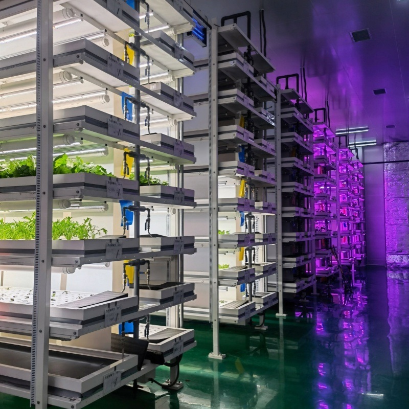 Soilless Cultivation Container Greenhouse