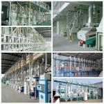 Stone Roller Vertical Preboiled Rice Mill Whitener